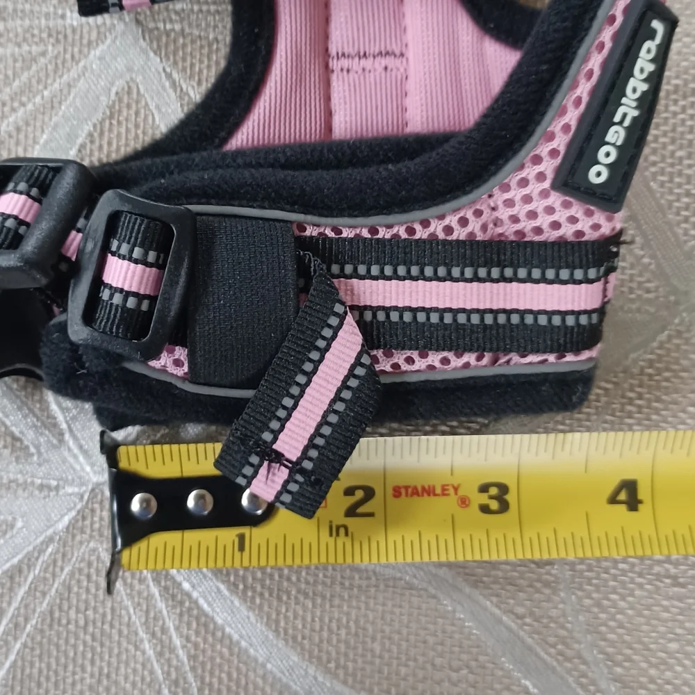 Brand New Cat Harness!